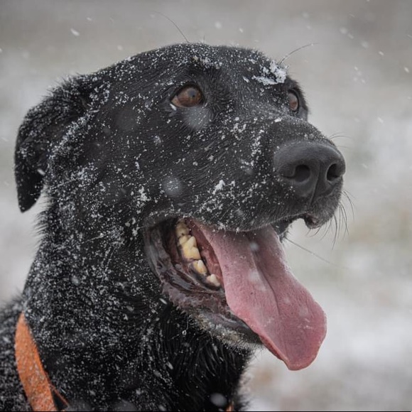 Meet your Posher, Andrea - Picture 4 of 16